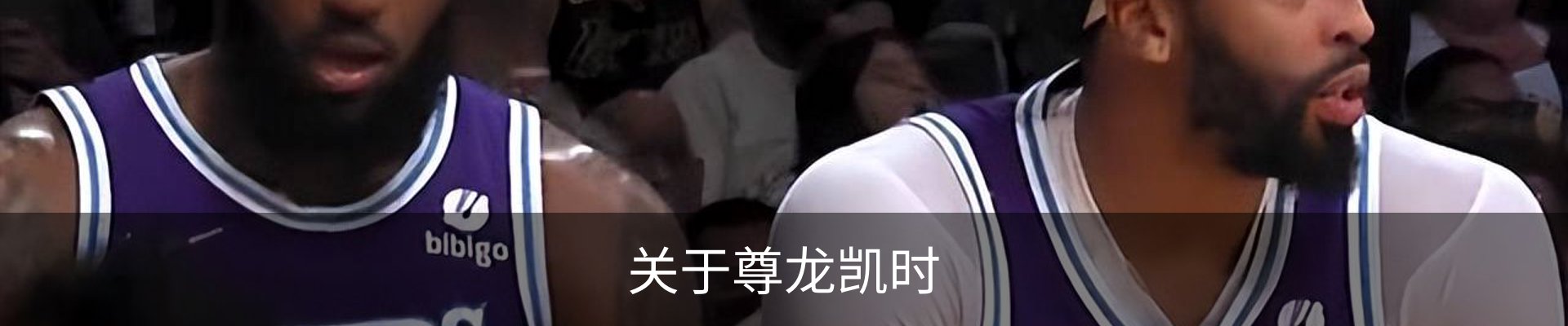 关于尊龙凯时