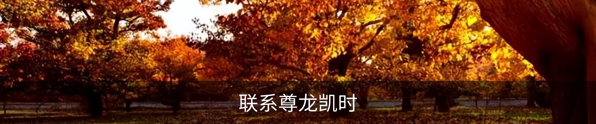联系尊龙凯时